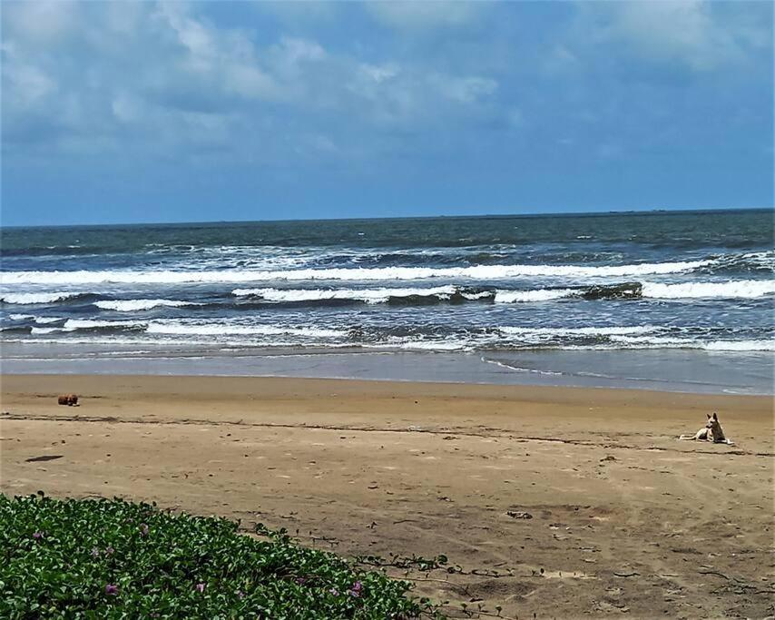 Cockerel Homestay - Traditional Beach Village - Goa Canacona Extérieur photo