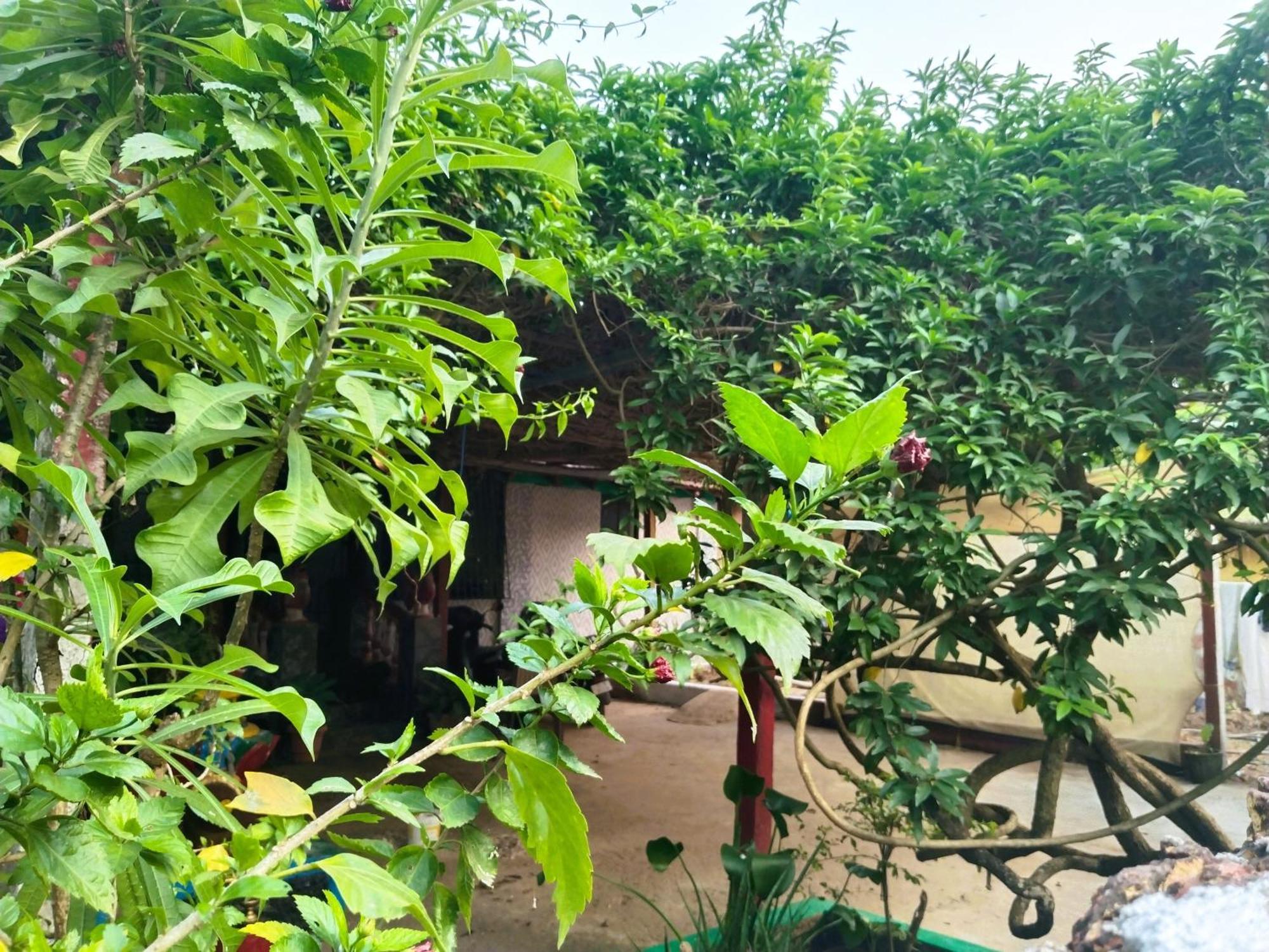 Cockerel Homestay - Traditional Beach Village - Goa Canacona Extérieur photo